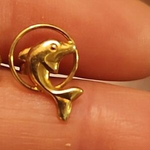 One Gold Earring🐬